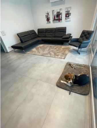 New Project (23)